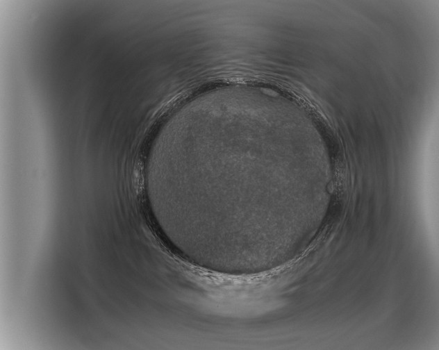 X0000116020043200911271125