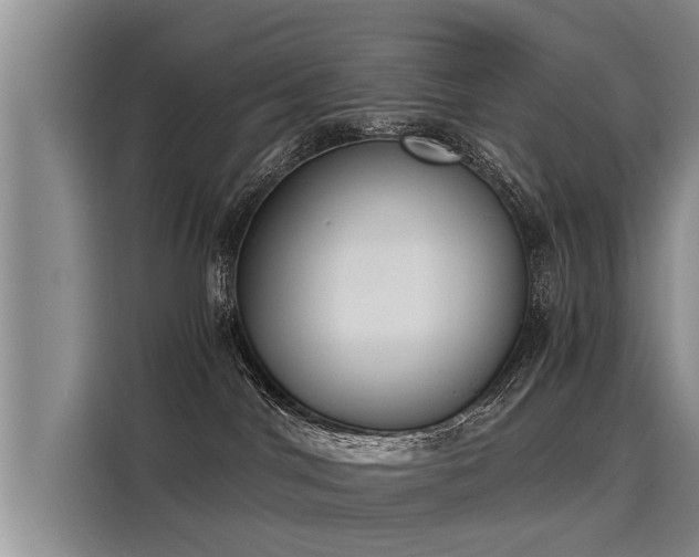 X0000116020044200911271125