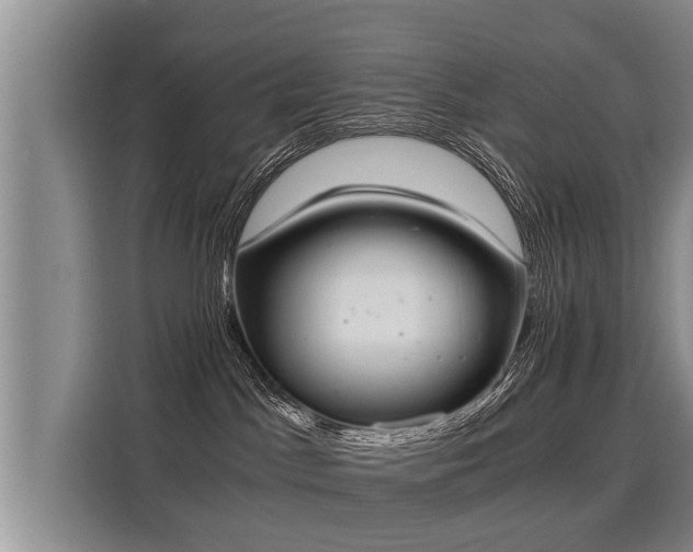 X0000116020045200911271125