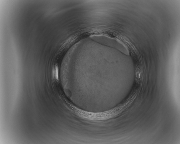 X0000116020046200911271124