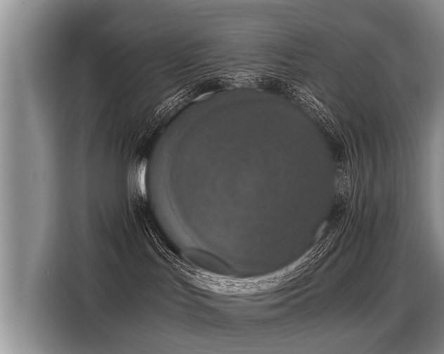 X0000116020047200911271124