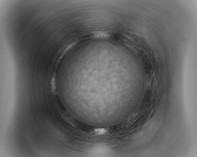 X0000116020050200911271124