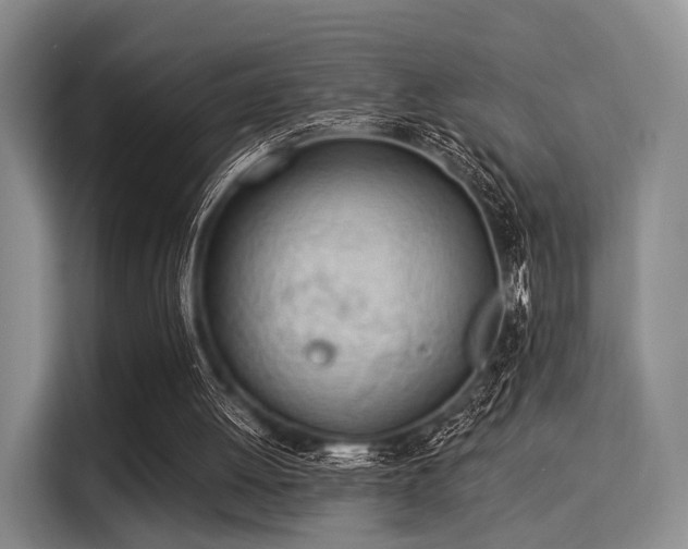 X0000116020052200911271124