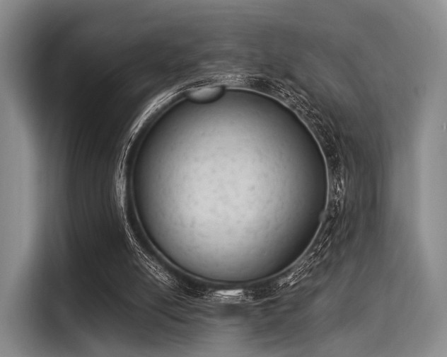 X0000116020054200911271124