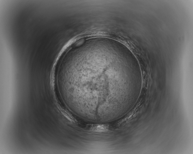 X0000116020056200911271124