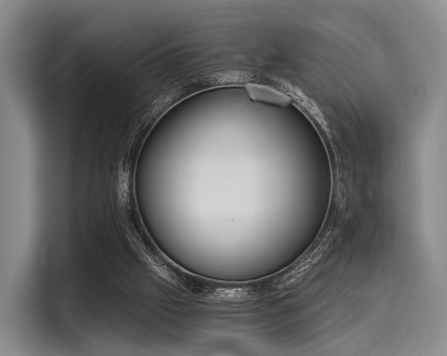 X0000116020057200911271124