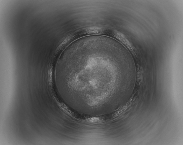 X0000116020058200911271124