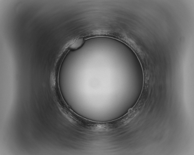 X0000116020060200911271124