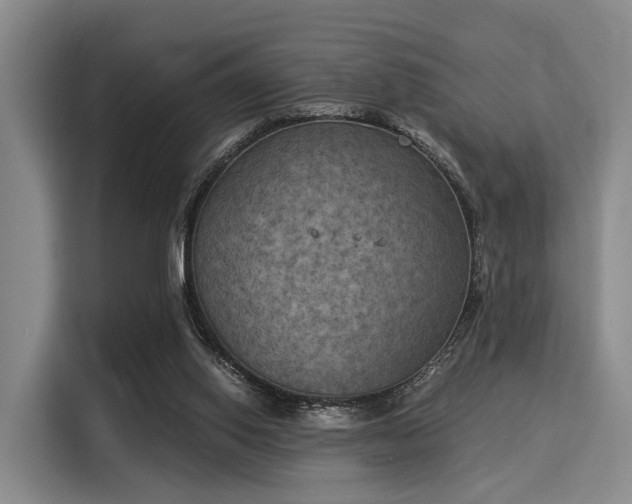 X0000116020062200911271124