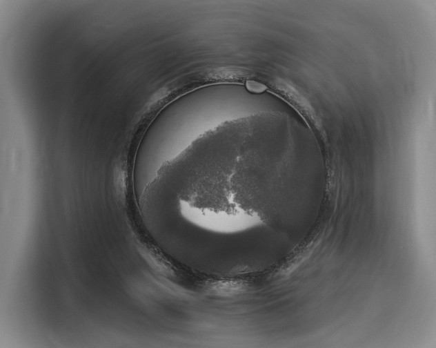 X0000116020063200911271124