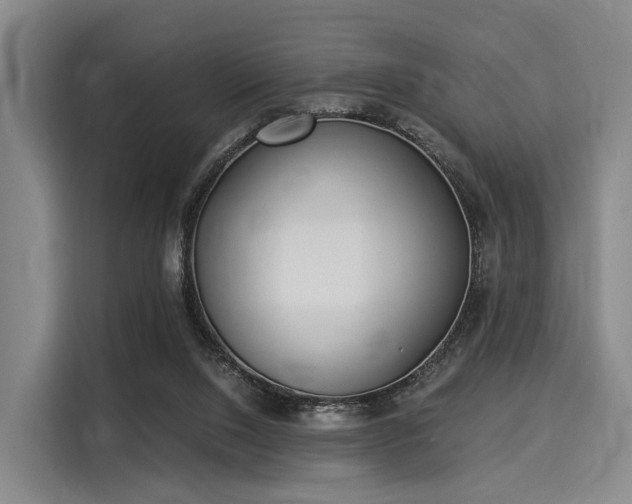 X0000116020064200911271124