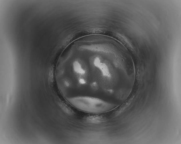 X0000116020065200911271124