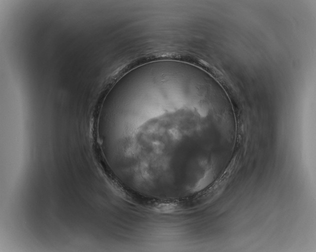 X0000116020066200911271124