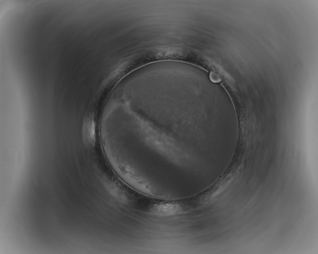 X0000116020067200911271124