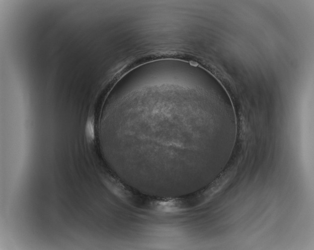 X0000116020068200911271124