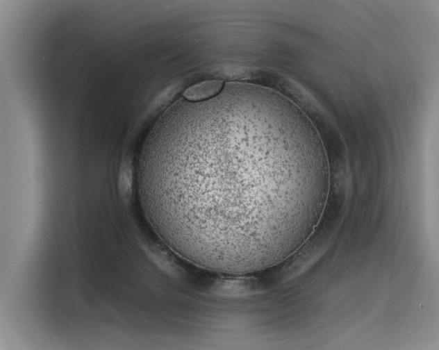 X0000116020072200911271124