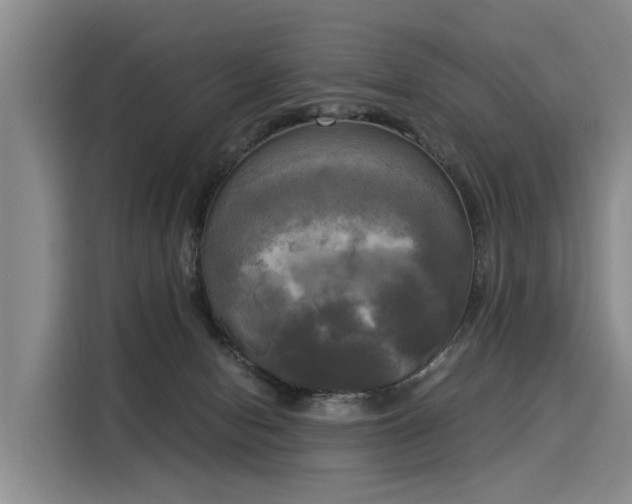 X0000116020078200911271124