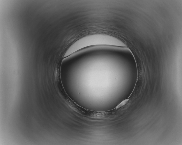 X0000116020084200911271124