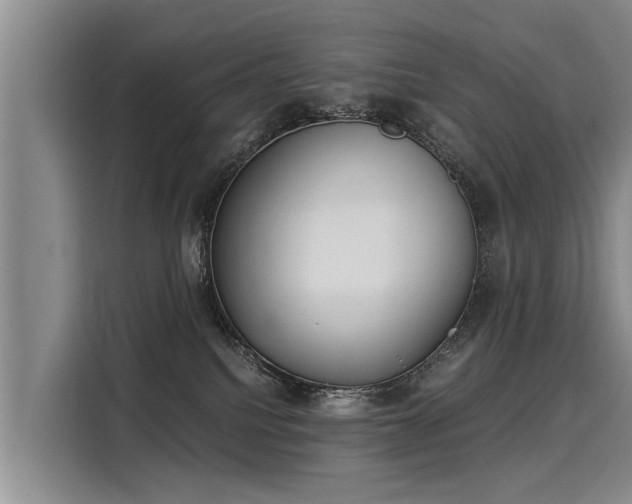 X0000116020088200911271124