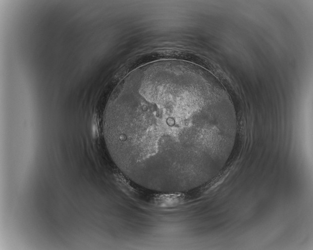 X0000116020089200911271124