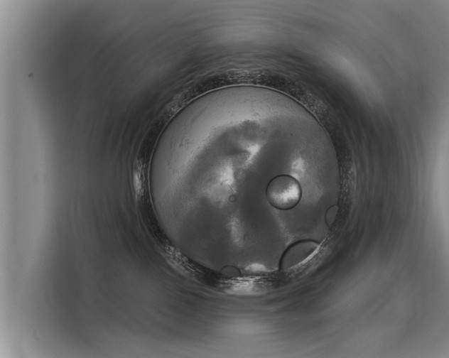 X0000116020090200911271124