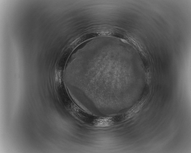 X0000116020093200911271124