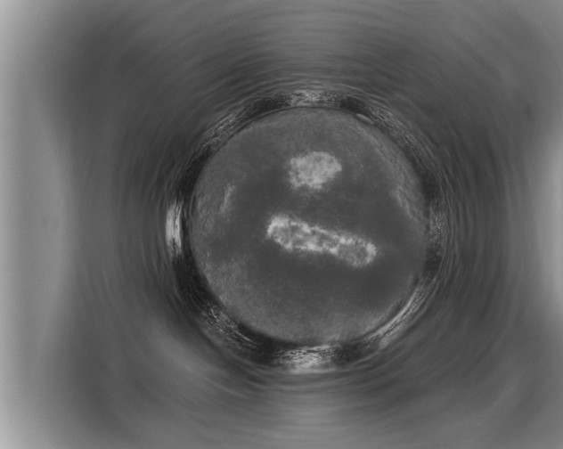 X0000116020094200911271124