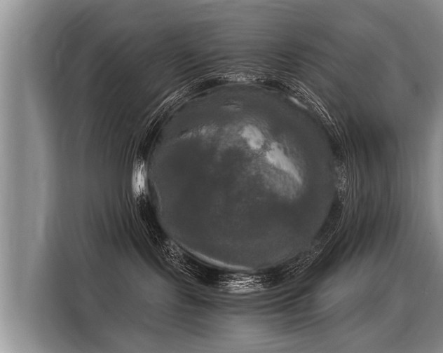 X0000116020095200911271124