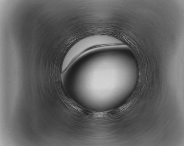 X0000116020096200911271124