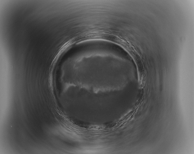 X0000116020099200911271124