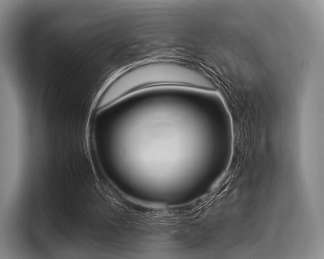 X0000116020100200911271124