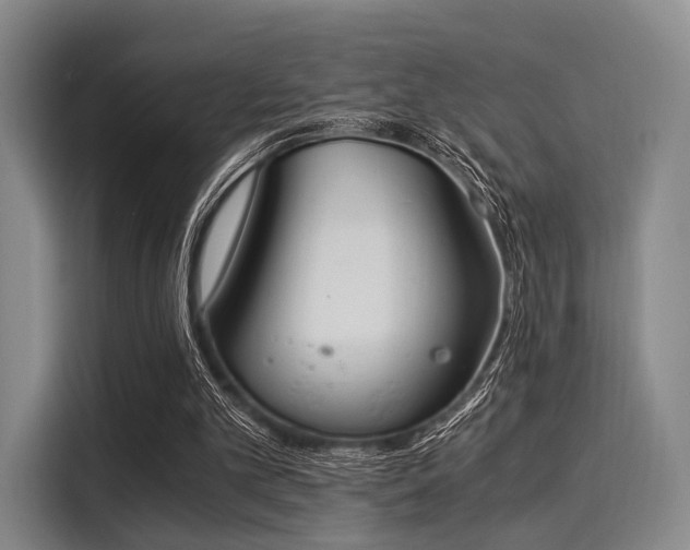 X0000116020101200911271124