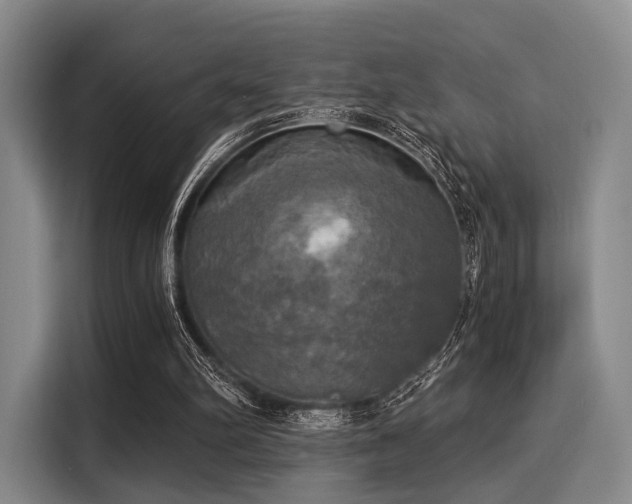 X0000116020102200911271124