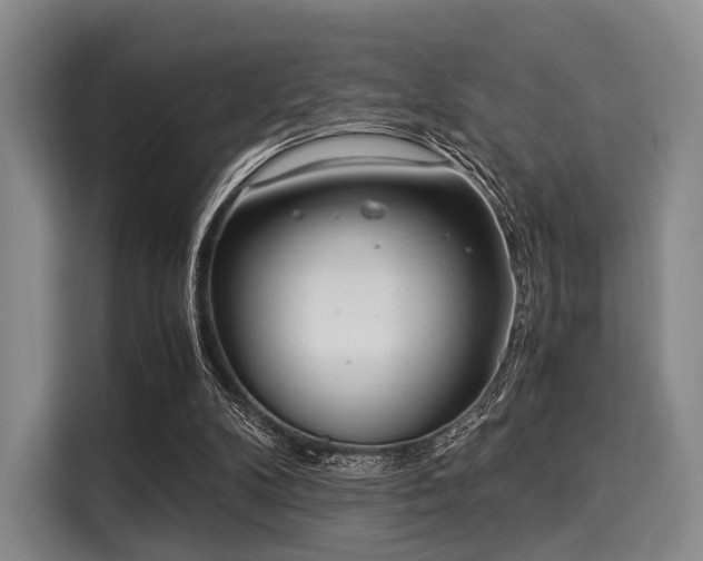 X0000116020104200911271124