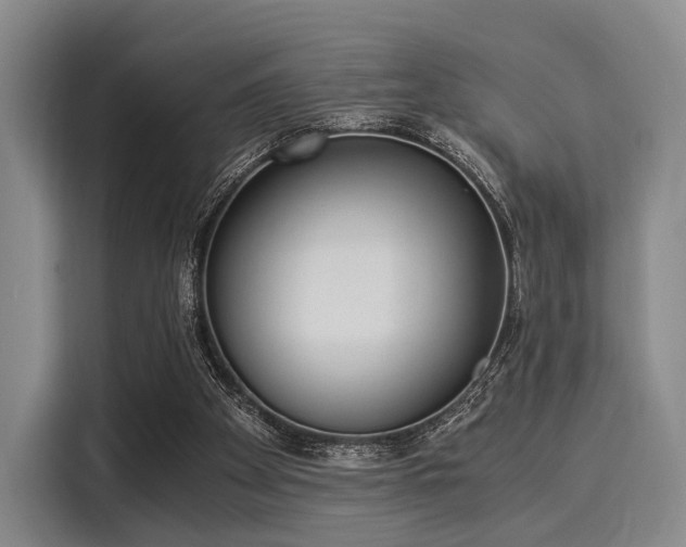 X0000116020105200911271124