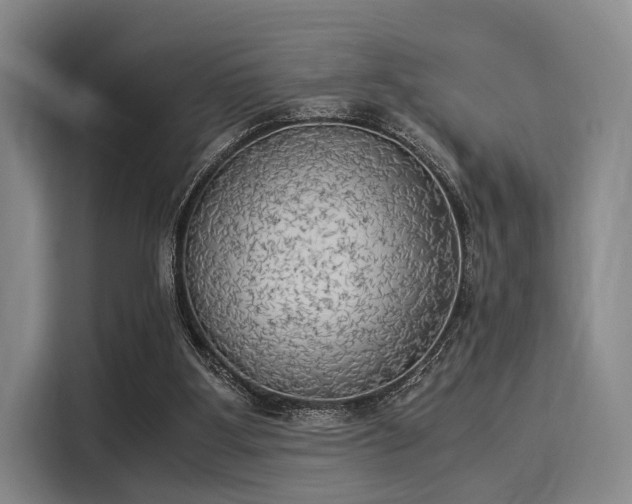 X0000116020107200911271124