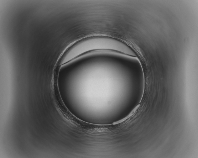 X0000116020108200911271124