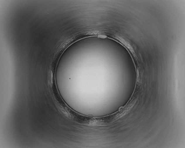 X0000116020109200911271124