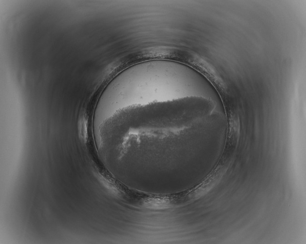 X0000116020110200911271124