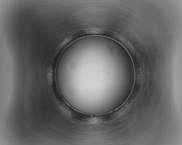 X0000116020111200911271124