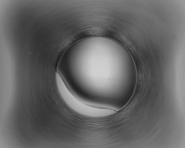 X0000116020117200911271124