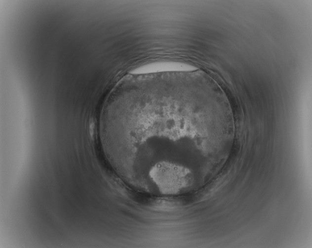 X0000116020123200911271123