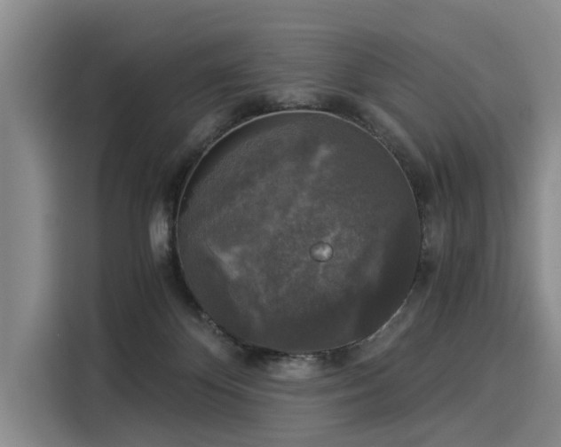 X0000116020124200911271123