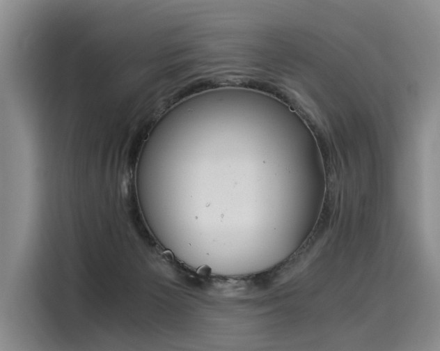 X0000116020125200911271123