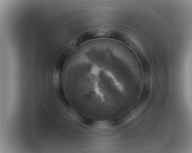 X0000116020127200911271123