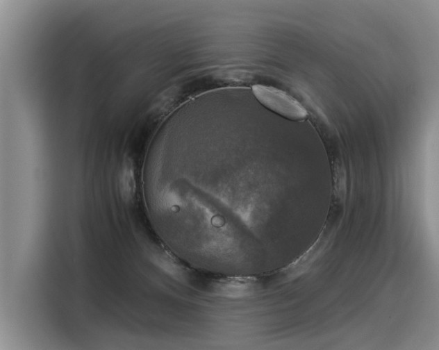 X0000116020128200911271123