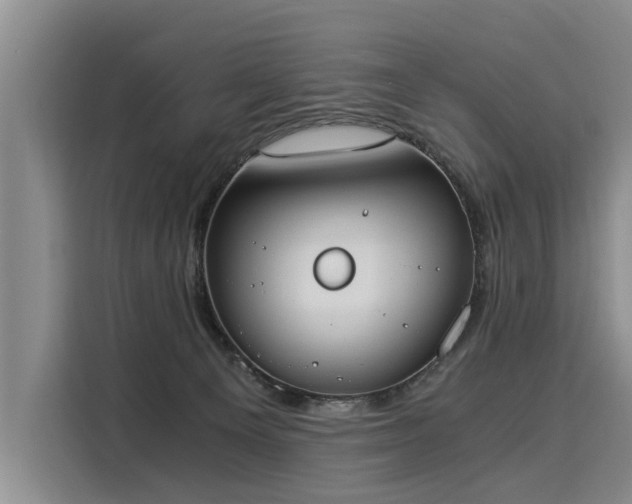 X0000116020129200911271123