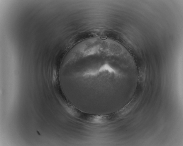 X0000116020130200911271123