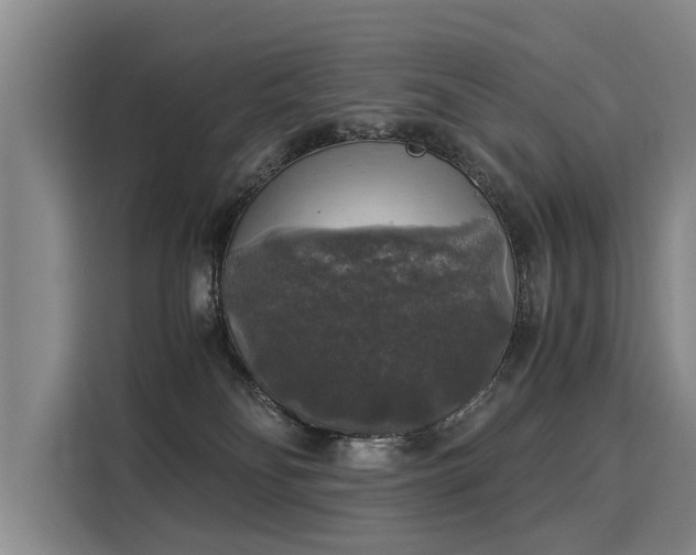 X0000116020134200911271123