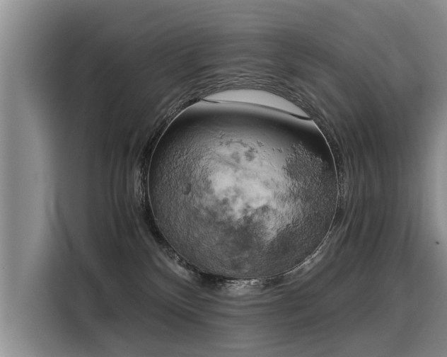 X0000116020136200911271123